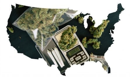 The 3 Most Important States for Marijuana Stock Investors