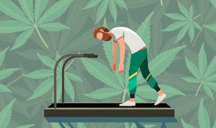 Can you really sweat out THC? The science behind exercise and weed
