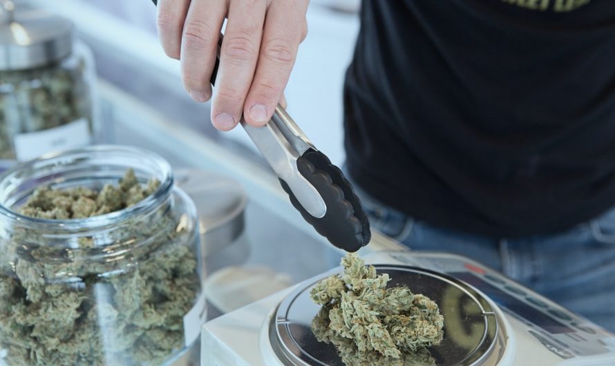 South Dakota Could be at the Forefront of Legalizing Marijuana